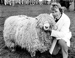 Minder: Champion sheep at the Royal Cornwall Show