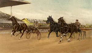 Equity: Champions Harness Race