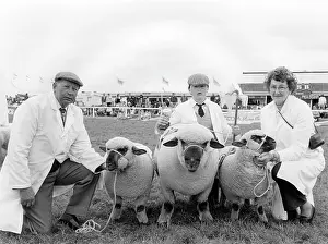 Minder: Championship sheep at the Royal Cornwall Show