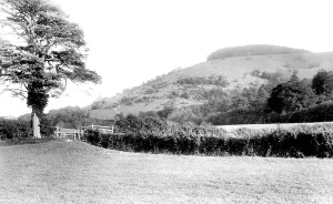 Chanctonbury: Chanctonbury Ring, 1894