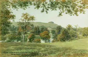 Chanctonbury: Chanctonbury Ring, from Wiston Pond, South Downs, Sussex