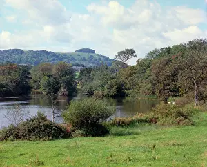 Chanctonbury: Chanctonbury Ring from Wiston, South Downs