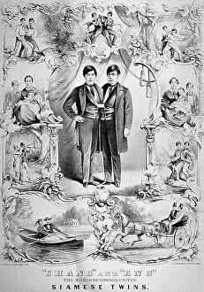 Siamese: Chang and Eng Bunker, The Original Siamese Twins
