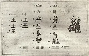 Goyer: Changing nature of Chinese characters