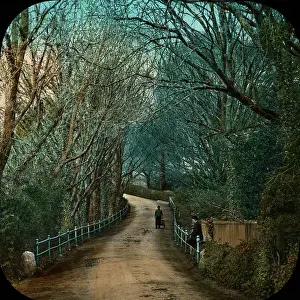 Rozel: The Channel Islands - Road at Rozel Manor