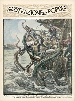 Desperately: CHANNEL ISLES SQUID