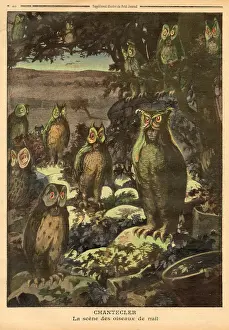 Rostand: Chantecler by Rostand 1910