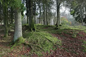 Chapelle Notre-Dame-de-l'Europe, Fleury-devant-Douaumont