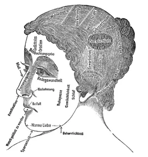 Brains: Character traits of a manageress, 1902