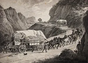 Trentsensky: Characteristic carriages. Nr. 5. The freight carriage. E