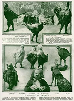 Lucien: Characters from the play Chantecler by Rostand, 1910