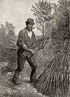 Charcoal: Charcoal burners in the Lake District, north west