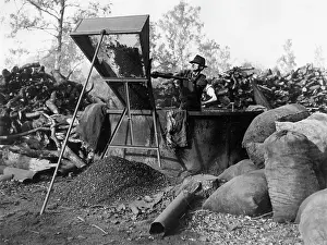 Grading: CHARCOAL BURNING