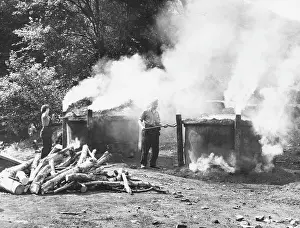 Excluded: CHARCOAL BURNING