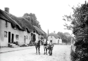 Chard: Chard, Cottages 1907