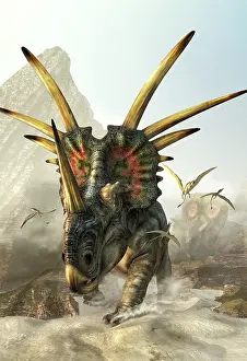 Styracosaurus: A charging Styracosaurus