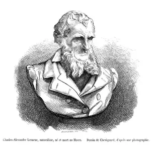 Lesueur: CHARLES-ALEX. LESUEUR