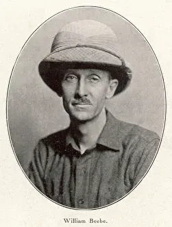 Beebe: CHARLES BEEBE