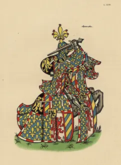 Equestre: Charles the Bold, Charles le Temeraire, comte