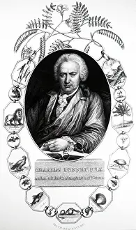 Naturalist: Charles Bonnet (1720-1793) with his Chain of Nature