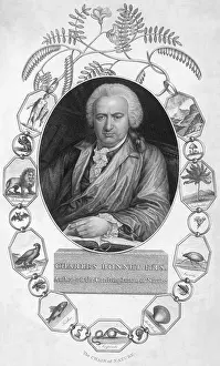 CHARLES BONNET/BORDER