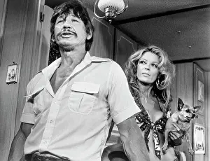 Breakout: Charles Bronson - Sheree North - Celebrity