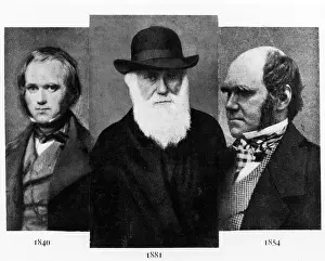 Portaits: Charles Darwin (1809-1882), at age 31 in ?