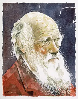 Jeffrey Morgan: CHARLES DARWIN