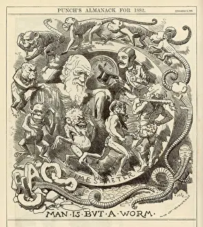 Caveman: Charles Darwin
