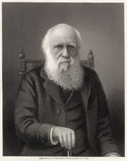Geologist: Charles Darwin