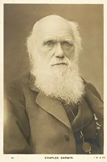 Darwin: Charles Darwin