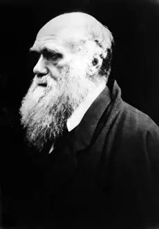 Portaits: Charles Darwin, c. 1880. ?