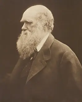 Geologists: Charles Darwin, ca. 1868, by Julia Margaret