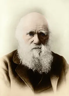 Darwinism: Charles Darwin, English Naturalist