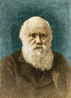 Darwinism: Charles Darwin, English Naturalist