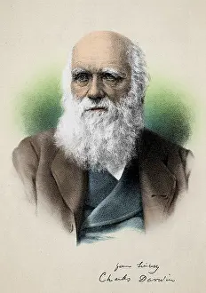 Darwinism: Charles Darwin, English Naturalist