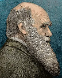 Darwinism: Charles Darwin, English Naturalist