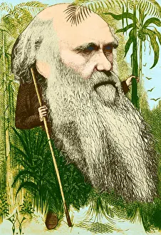 Darwinism: Charles Darwin, English Naturalist