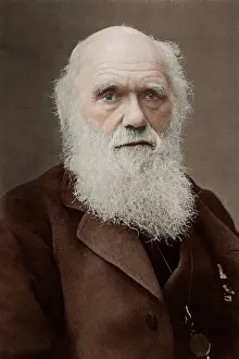 Geologist: Charles Darwin - English Naturalist