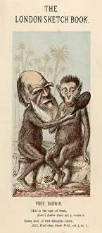 Lookalike: Charles Darwin with a lookalike ape
