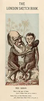 Lookalike: Charles Darwin with a lookalike ape