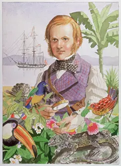 Jeffrey Morgan: Charles Darwin during his voyage on the Beagle