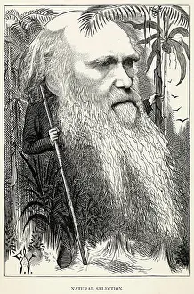 Charles Darwin as a wild man of the jungle