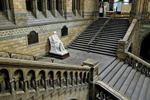 Boehm: Charles DarwinCharles Robert Darwin (1809-1882)