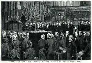 Interred: Charles Darwin's funeral 1882