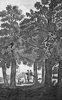 Hides: CHARLES II AT BOSCOBEL