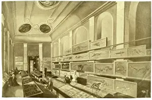 Reconstructions: Charles Moore's Free Museum in Bath