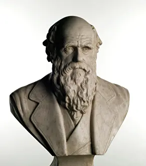 1809 1881: Charles Robert Darwin (1809-1881)
