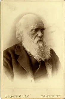 1809 1881: Charles Robert Darwin (1809-1881)