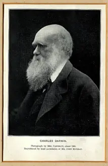 1809 1881: Charles Robert Darwin (1809-1881)